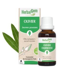 Olivier (Olea europea) j.p. BIO, 30 ml